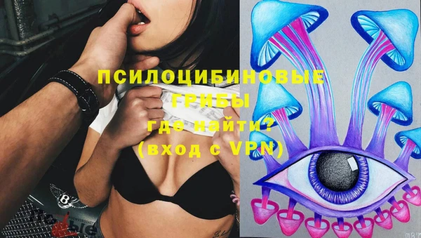 ешки Балахна