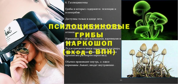 ешки Балахна